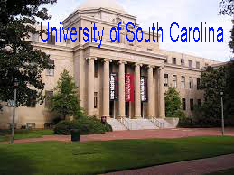 Online Nursing Degrees: Exploring Top Programs at Johns Hopkins and the University of South Carolina