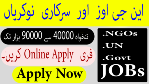 NGOs, UN, and Government Jobs: Navigating Online Applications To Find Opportunities and Unlock