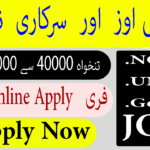 NGOs, UN, and Government Jobs: Navigating Online Applications To Find Opportunities and Unlock
